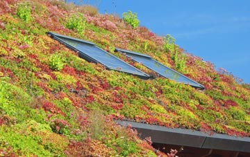 Cotes Heath living roof systems