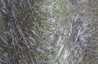 Cotes Heath fibreglass roof work